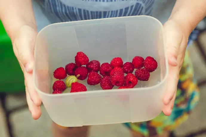 person showing cherries on clear plastic box